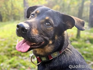 Loki - ist kinderfreundlich