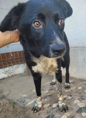 Ein liebes und hübsches Mädchen - das ist Maori