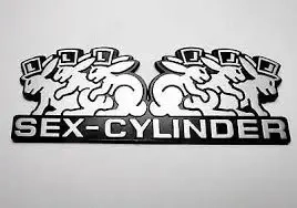 Ich suche für Sonntag Nachmittag einen Mann mit riesigen Gerät