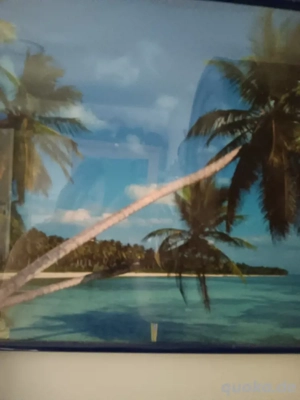 ich suche was prewart ihn giesing oter ihn grünwald zum.putzen beim ätern herrn auf 150 euro 