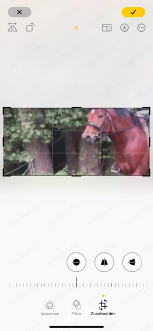 Reitbeteiligung gesucht (Pferd sucht)