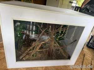 terrarium 77x100x61cm