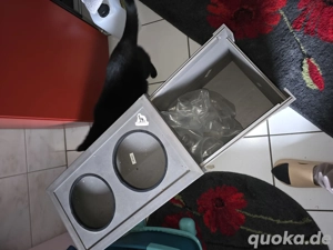 Futterbar  Bild 3 Futterbar  Bild 3