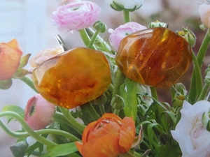 Bernstein mangettenknopfen