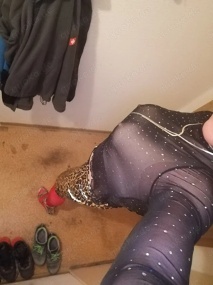 dwt sucht den unkomplizirten Bild 3 dwt sucht den unkomplizirten Bild 3