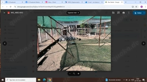 Einmalige Gelegenheit: Bio-Bauernhof in Ungarn mit EU-Zertifizierung Bild 6