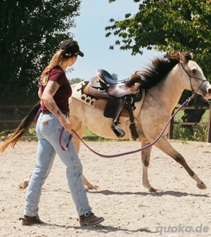 Der 7-Jährige hofft auf Appaloosas Adoption