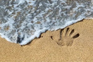 Rundum-Service, Kleintransporte und Mini-Umzüge