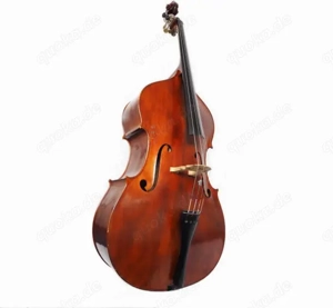   1 KontraBassist in gesucht