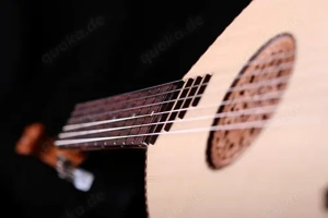 Klassische r Gitarrist in   gesucht      Bild 2
