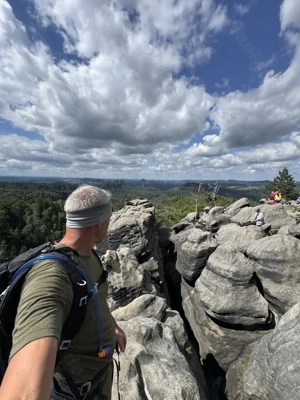 SUCHE Carne Corso Welpen   Junghund