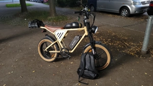 E-Bike 25kmh 250w  48V 34Ah Dual Lithium-Ionen-Akku