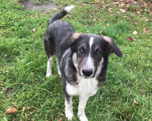 Hier kommt Manny. Dein neuer Begeleiter?