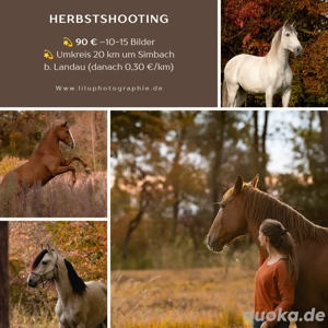 Fotoshooting  mit Pferd hund 