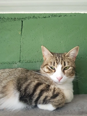 Crona sucht ihr Zuhause