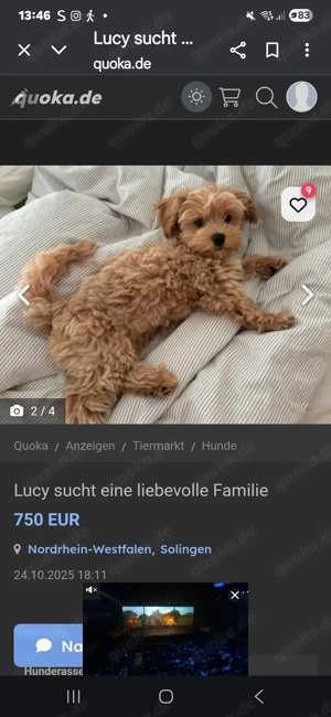 Vorsicht vor dieser Anteige