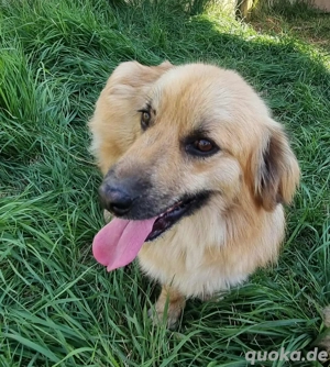 Kleiner Herzensbrecher Keno