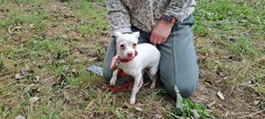 *EMILY* - Ich bin lieb, aber noch etwas vorsichtig und zurückhaltend