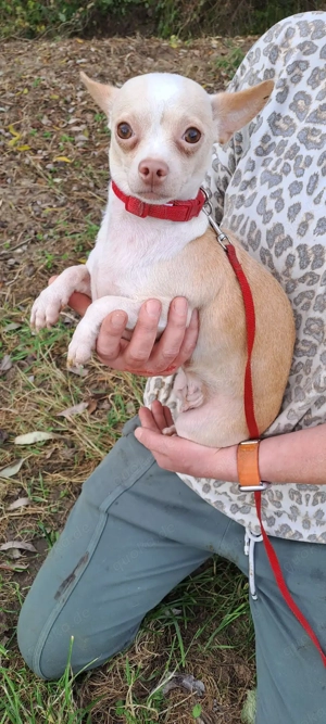 *LUNA* - Ich bin noch etwas zurückhaltend und zögerlich, wird aber von Tag zu Tag besser