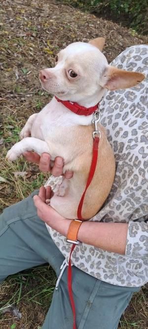 *LUNA* - Ich bin noch etwas zurückhaltend und zögerlich, wird aber von Tag zu Tag besser