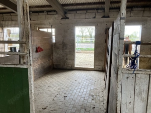 3 Pferdeboxen mit Auslauf in Bellheim frei, 100 EUR Box