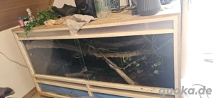 terrarium komplett zubehör 