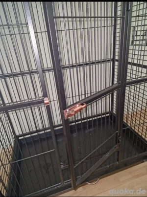 Papageien  Nagerkäfig