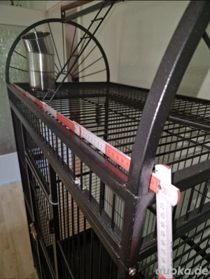 Papageien  Nagerkäfig Bild 4 Papageien  Nagerkäfig Bild 4