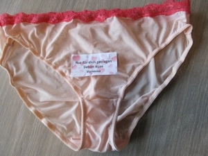Getragene Slips durchsichtig mit Spitzenrand für dich ! Schreib mir deine Wünsche !