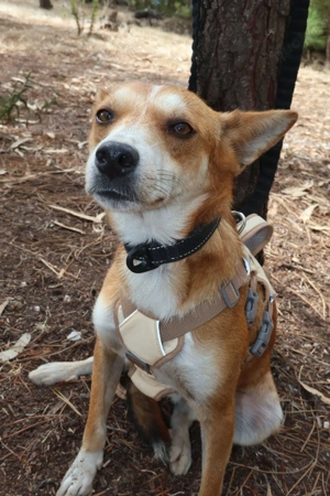 FLY sucht seine Lieblingsmenschen Bild 2