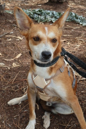 FLY sucht seine Lieblingsmenschen Bild 3