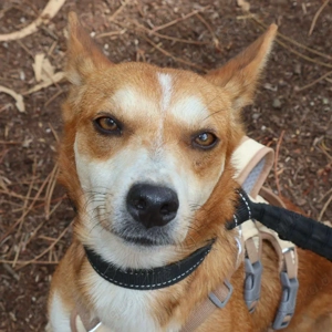 FLY sucht seine Lieblingsmenschen Bild 7