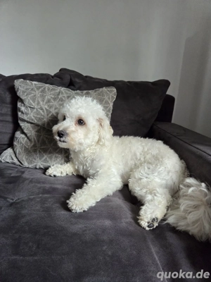 Zum verkaufen Bild 2  Zum verkaufen Bild 2