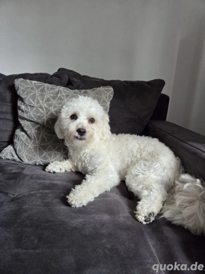 Zum verkaufen Bild 3  Zum verkaufen Bild 3