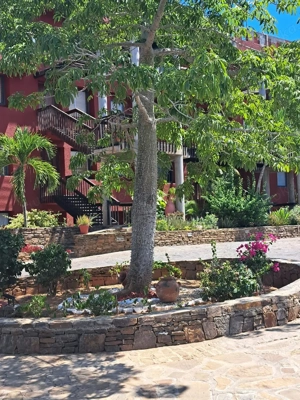 Luxus-Appartement mit Meerblick im Bereich Pampatar auf der Insel Margarita Bild 9