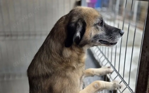 Der liebe Maqua braucht eine Chance Bild 3