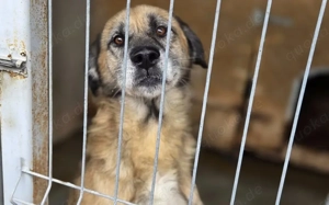 Der liebe Maqua braucht eine Chance Bild 5