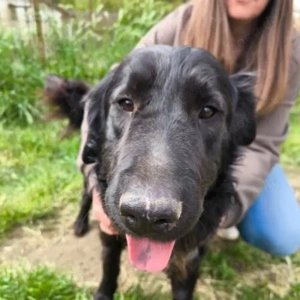 Laci-MudiMix-geb ca06 2023