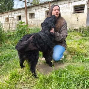 Laci-MudiMix-geb ca06 2023 Bild 2