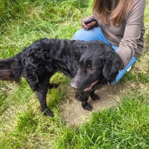 Laci-MudiMix-geb ca06 2023 Bild 3