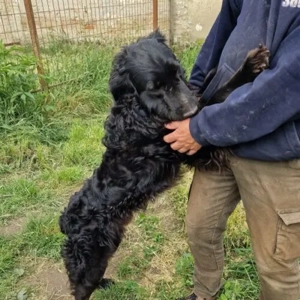 Laci-MudiMix-geb ca06 2023 Bild 4