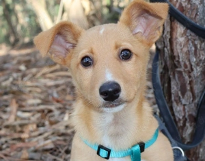 LUKA wünscht sich eine Familie