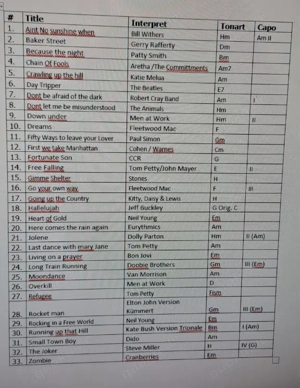 Wanted   Acoustic music guitar player