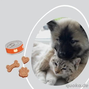 Nehme Tiere in Not auf