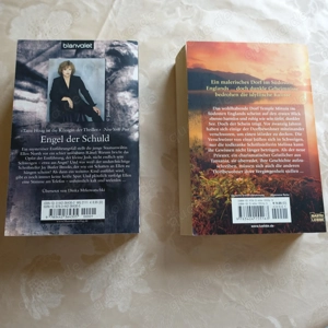Bücher - Romane - älter - dicker - je Stück 2,50 Euro Bild 2