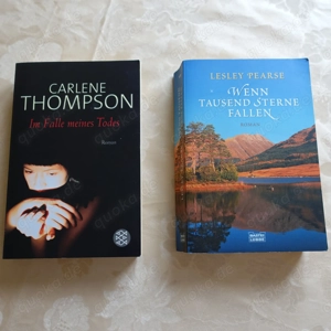 Bücher - Romane - älter - dicker - je Stück 2,50 Euro