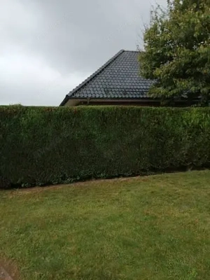 Lohnende Partnerschaft!