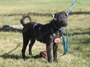 Paco sucht seine Familie