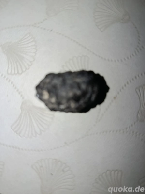 Eisen Meteoriten 