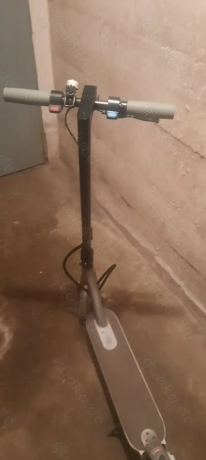 E Scooter  Bild 4
